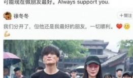 天涯爆料尹子维视频大全,尹子维视频大全揭秘，精彩瞬间一网打尽